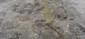 Voetstappen op de toendra